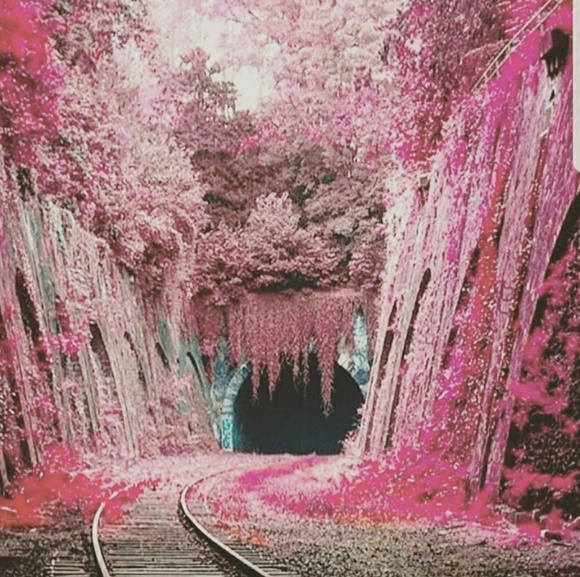 Meet your Posher, Rease - Picture 1 of 1